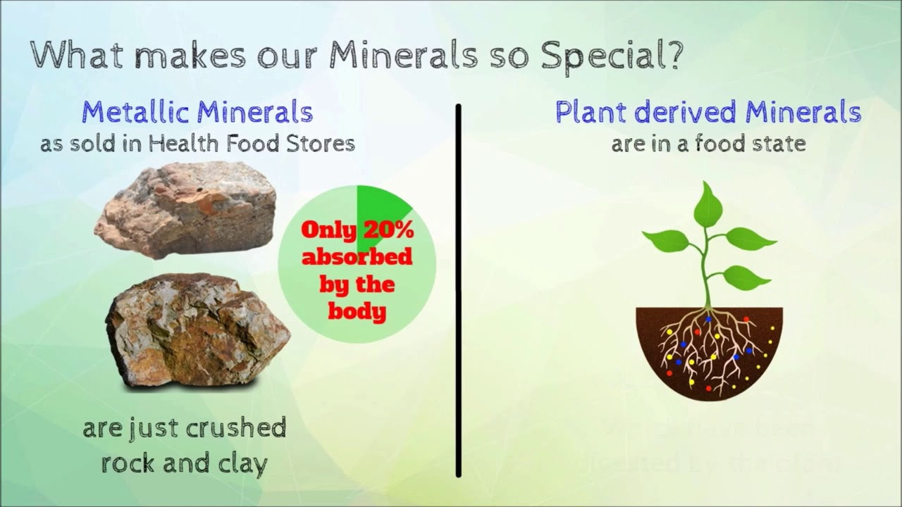 Natural supplements plant based trace minerals full image